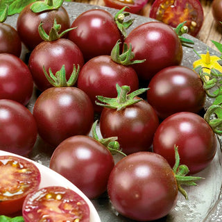 Pomodoro - Black Cherry - Pomodorini scuri e dolci, perfetti per gli spuntini