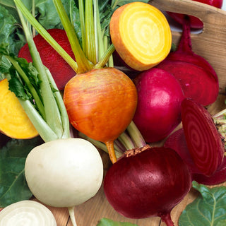 Beetroot Mix - Colourful Varieties with Explosion of Colours and Flavours - Premium Seeds
