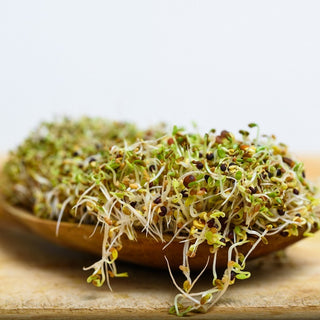 BIO Semi per germogli - Cima di rapa - Leggermente piccanti - molto salutari