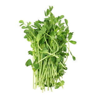 BIO Semi per germogli - Piselli - Germogli rapidi - vitamine pronte in 3 giorni