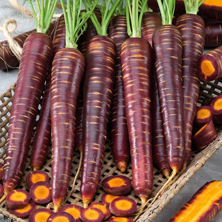 Carota Paloma - Liscia e dolce, estremamente saporita - Busta Grande - 50 g