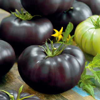 Pomodoro - Black Beauty - Colore scuro unico, interno estremamente dolce