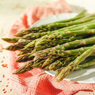 Asparago - Mary Washington - Tradizionale, produttiva e gustosa varietà - Asparagus officinalis
