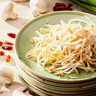 BIO Semi per germogli - Fagiolo Mungo - Croccante successo della cucina asiatica