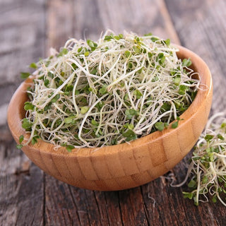 BIO Semi per germogli - Broccolo - Sostegno naturale alle difese immunitarie