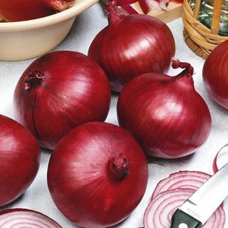 Cipolla - Karmen - Cipolla rossa, perfetta per arricchire insalate e panini - Confezione Mega - 500 g