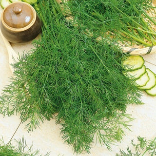 Aneto Hanak - Raccolto precoce, aroma eccezionale - Busta Grande - 100 g