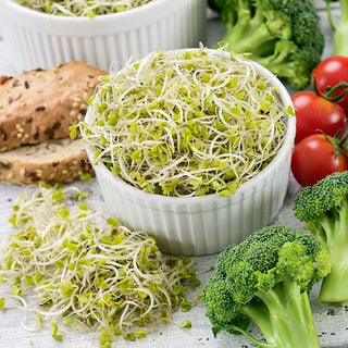 BIO Semi per germogli - Cima di rapa - Forti proprietà antitumorali - Busta Grande - 100 g
