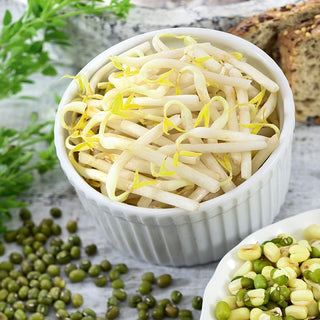 Mung Bean - Sprouting Seeds - Delicate Flavour, Fast-Growing, Rich in Vitamins - Vigna radiata - Premium Seeds