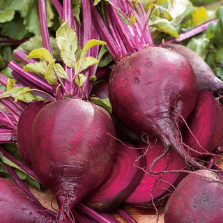 BIO Barbabietola DETROIT 2 - Varietà biologica popolare e collaudata