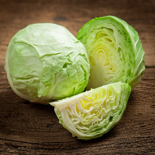 Cavolo cappuccio bianco - Ditmarska - Varietà precoce classica, semplicemente perfetta per le insalate