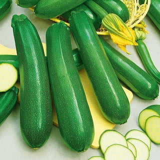 Zucchino - Diamant F1 - Resa e resistenza estreme, gusto di prim'ordine - Busta Grande - 100 g