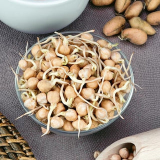 Semi per germogli - Ceci - Alto valore nutritivo, sapore di nocciola - Cicer