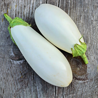 Melanzana White Egg - Forma unica, sapore delicato