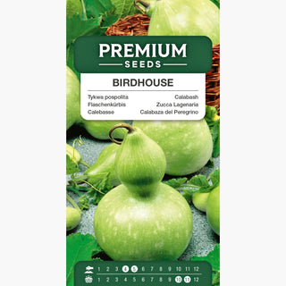 Zucca Lagenaria - Birdhouse - Resistente e durevole a crescita rapida - Lagenaria siceraria
