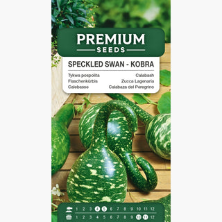 Zucca Lagenaria - Speckled Swan - Kobra - Rampicante dalla forma unica di cigno - Lagenaria siceraria
