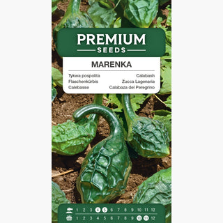 Zucca Lagenaria - Marenka - Frutti lisci, resistenti, perfetti per la decorazione - Lagenaria siceraria