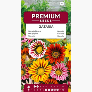 Gazania - Miscuglio - Si aprono al pieno sole - Gazania splendens
