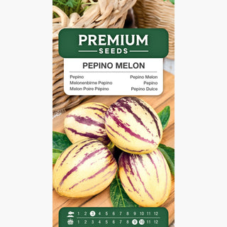 Pepino - Decorativo con frutti commestibili e succosi - Solanum muricatum