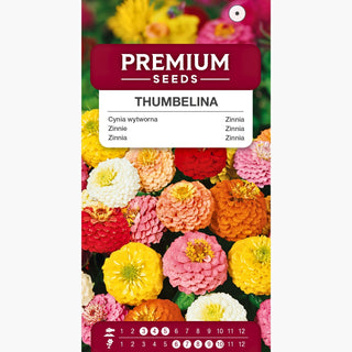 Zinnia Nana - Thumbelina - Varietà compatta ideale per cassette - Zinnia elegans