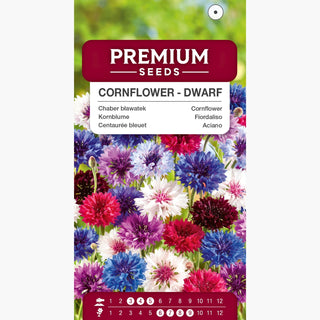 Fiordaliso - Nano miscuglio - Tocco incantevole dallo stile rustico - Centaurea cyanus