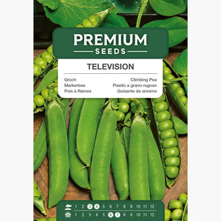 Pisello a grano rugoso Television - Tardivo, dolce, ricco di proteine, ideale per zuppe e piatti - Pisum sativum