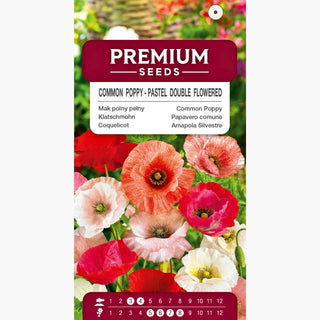Papavero comune - Pastello Doppia Miscuglio - Colori delicati e fiori rigogliosi - Papaver rhoeas