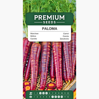 Carota Paloma - Dolce e delicata, facile da coltivare