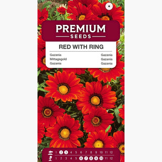 Gazania - Rossa con Anello - Accento esotico in tonalità rossa - Gazania splendens