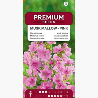 Malva Moschata - Rosa - Pianta perenne bassa che attrae api e farfalle - Malva moschata
