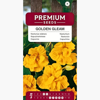 Nasturzio Grande - Golden Gleam - A fioritura prolungata, perfetta per cestini - Tropaeolum majus