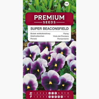Viola del Pensiero - Super Beaconsfield - Decorazione universale per ogni balcone - Viola ×wittrockiana