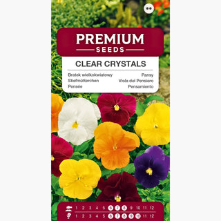 Viola del Pensiero - Clear Crystals - Mix colorato che valorizza ogni balcone - Viola ×wittrockiana