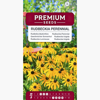 Rudbeckia fulgida - Fiori dorati che attirano gli insetti - Rudbeckia fulgida