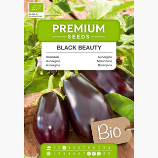 BIO Melanzana Black Beauty - Naturalmente carnoso, perfetto per la griglia