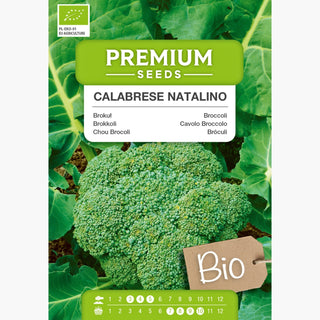 BIO Cavolo Broccolo Calabrese Natalino - BIO bomba verde di vitamine nella tua cucina