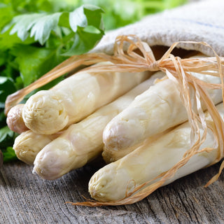 Asparago - Argenteuil - Carnosa, varietà bianca, germogli delicati - Asparagus officinalis
