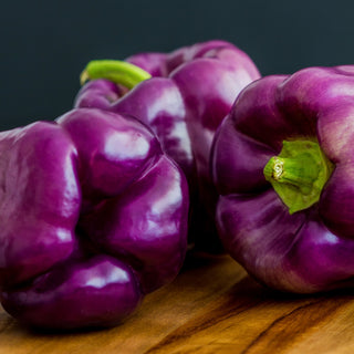 Peperone Oda - Colore viola unico, sapore molto dolce