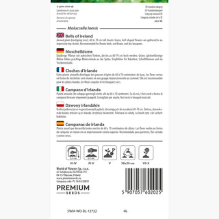 Campane d‘Irlanda - Fiori verdi dalla forma insolita - Moluccella laevis
