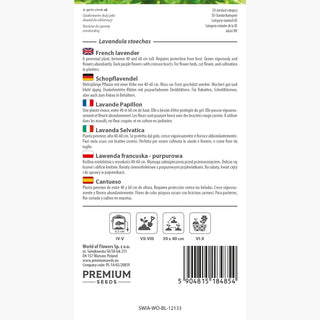 Lavanda Selvatica - Fiori intensamente profumati, ideale per bordure e vasi - Lavandula stoechas