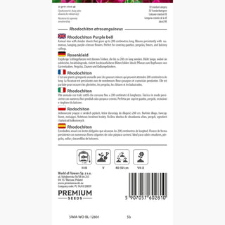 Rhodochiton - Ideale viola per cestini sospesi - Rhodochiton atrosanguineus