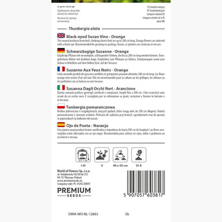 Susanna Dagli Occhi Neri - Arancione - Ideale per pergolati, aspetto esotico - Thunbergia alata
