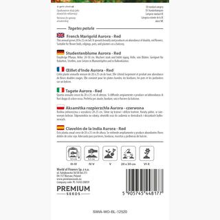 Tagete - Aurora Red - Fioritura continua e spettacolare per tutta l'estate - Tagetes patula