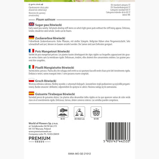 Piselli Mangiatutto Iłówiecki - Varietà estremamente produttiva, perfetta per congelare - Pisum sativum