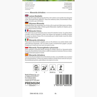 Monarda citriodora - Decorazione per aiuole e angoli di erbe aromatiche - Monarda citriodora