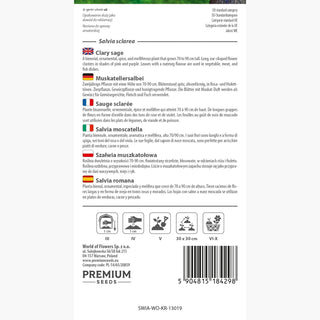 Salvia moscatella - Decorativa, culinaria e medicinale, fiori densi e pastello - Salvia sclarea