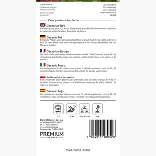 Geranio rosso - Lunga fioritura, fiori abbondanti, perfetti per contenitori - Pelargonium x hortorum