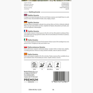 Dalia Unwins - Miscuglio dallo stile leggero e naturale - Dahlia pinnata