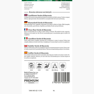 Cavolfiore Verde di Macerata - Belle rosette verdi di cavolfiore