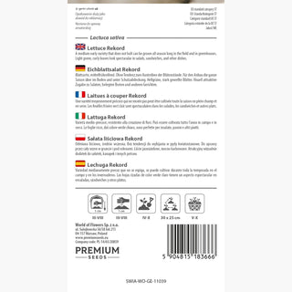 Lattuga Rekord - Crescita rapida, raccolta precoce, fogliame abbondante